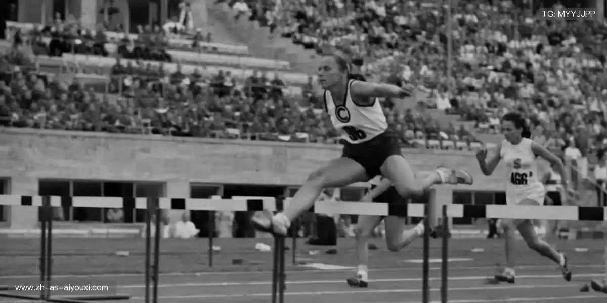 🎁🌟 限量周边，收藏你的热爱！